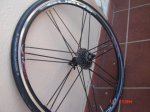 DSC02553.JPG