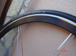DSC02556.JPG