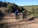 DSC09718 - copia.JPG