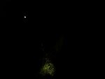 100_4730.JPG