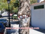 senalcomidaporarbol.jpg