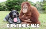 CUENTANOS-MAS.jpg
