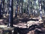 la foto 2 (6).JPG