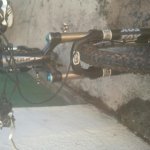 2012-11-13 12.03.09-1.jpg