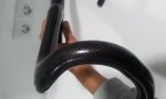 2012-11-07 19.44.56.jpg