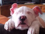 2012-03-31 17.09.40.jpg