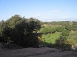 IMG_0136.JPG