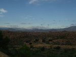 IMG_8679.JPG