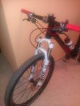 IMAG0273.jpg