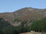 DSCF4241.jpg
