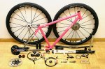 ciclo rosa.jpg