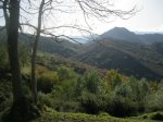 IMG_3814.JPG
