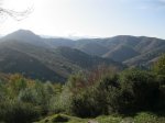 IMG_3815.JPG