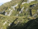 IMG_3827.JPG