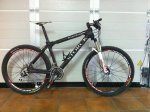 storck.jpg