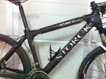 storck 2.jpg