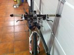 storck 3.jpg