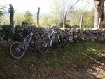 DSC02705.JPG