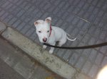 2012-03-20 18.35.32.jpg