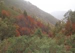 DSCF0931.JPG