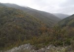 DSCF0932.JPG