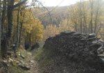 DSCF0980.JPG