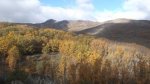 DSCF0963.JPG