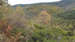 DSCF0898.JPG
