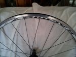 IMG-20121116-WA0013.jpg