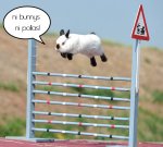 jumping bunny.jpg