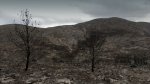 Pedralba8.jpg