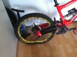 large_IMG_2689.jpg