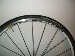 DSCF2860.JPG