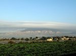 NUbes1.JPG