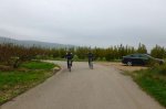 P1060418_800x533.jpg