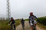 P1060422_800x533.jpg
