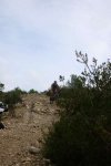 P1060436_400x600.jpg