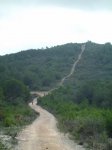 CIMG3322 (Copiar) (Copiar).JPG