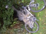IMG-20121117-00221.jpg