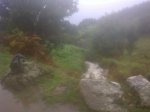 IMG-20121117-00224.jpg