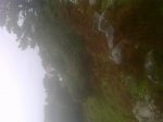 IMG-20121117-00225.jpg