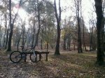 IMG_20121116_104133-1.jpg