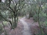 DSC01977.JPG