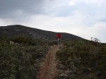 DSC00014.JPG
