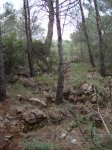 DSC00017.JPG