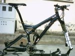 cuadro stumpy 002.jpg