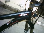 cuadro stumpy 003.jpg