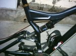 cuadro stumpy 004.jpg