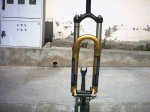 cuadro stumpy 008.jpg