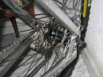 IMG_5545_redimensionar.JPG